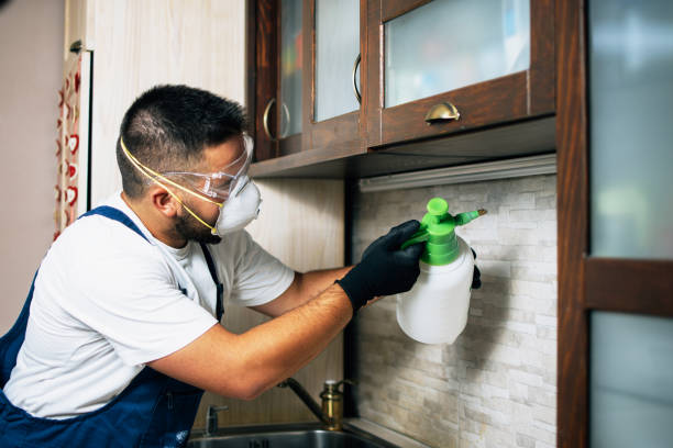 Reliable Valley Stream, NY Pest Control Solutions