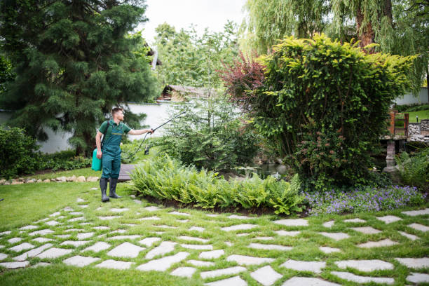 Best Residential Pest Control  in Valley Stream, NY