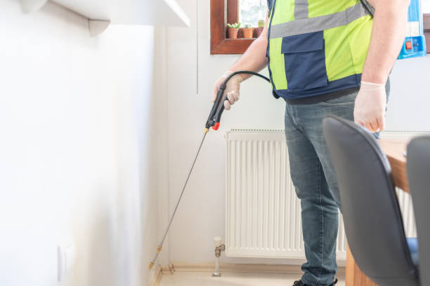 Best Affordable Pest Control Services  in Valley Stream, NY