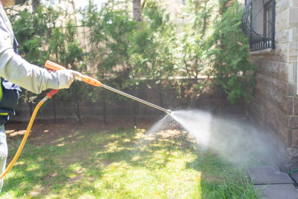 Best Termite Control Services  in Valley Stream, NY