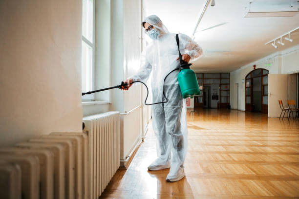 Best Best Pest Control Companies  in Valley Stream, NY